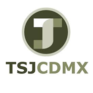 Enrique Pérez Rosiles, traductor, Tribunal Superior de Justicia de México