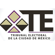 Enrique Pérez Rosiles, traductor, Tribunal Electoral de México