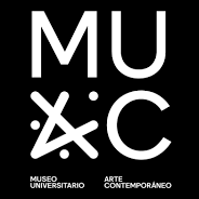 Enrique Pérez Rosiles, traductor, MUAC, Museo Universitario de Arte Contemporáneo